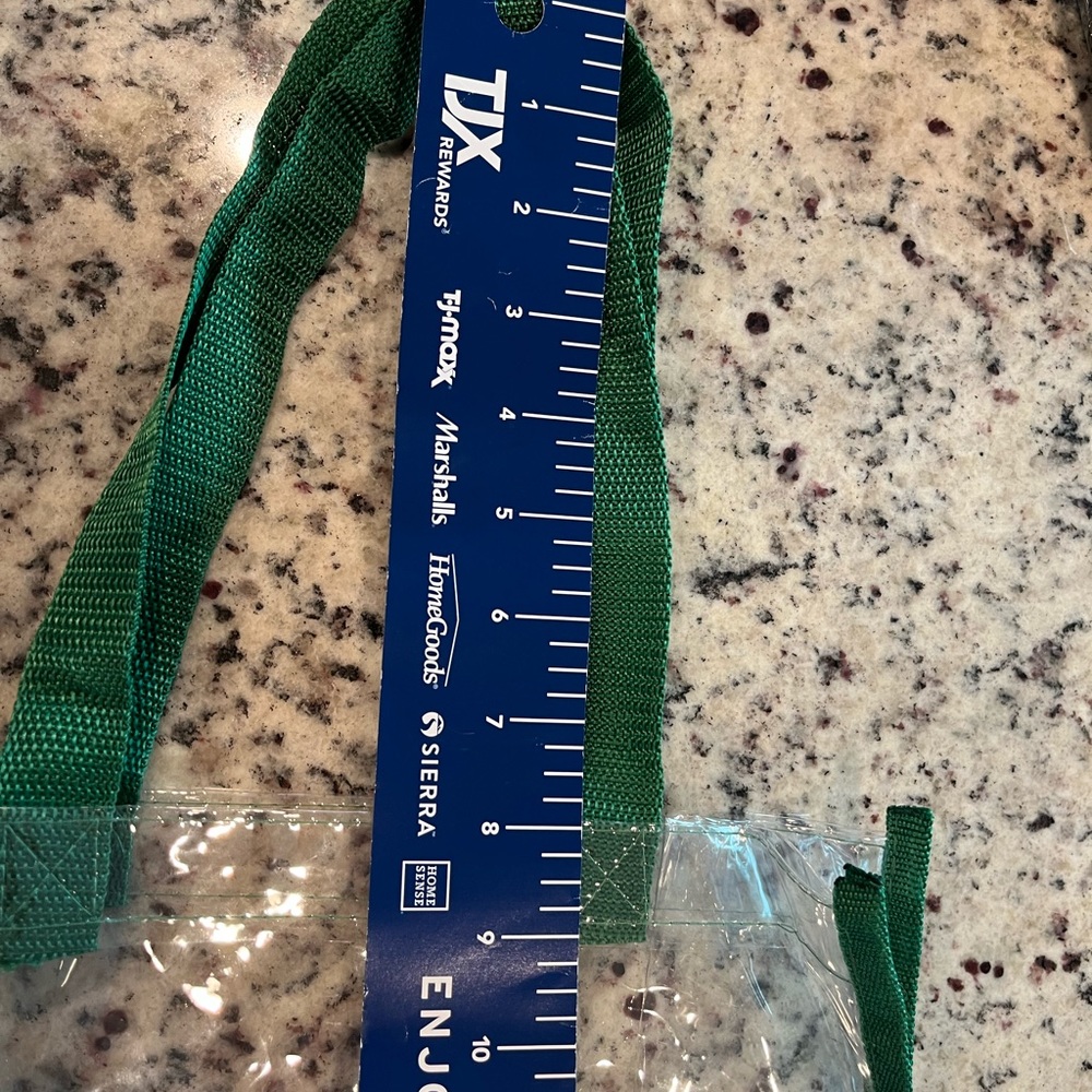  Unc Charlotte Clear Tote Stadium Bag New Condition Gem